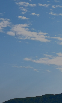 シングルプラン